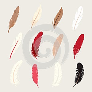 White Feather set vector flat minimalistic isolated illustration