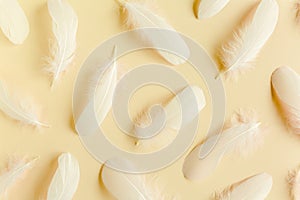 White feather texture on a beige background. Feather background. Flat lay, top view