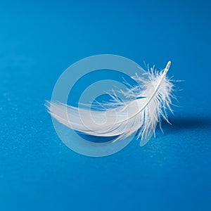 White feather on a vibrant blue background. The feather is delicate, featuring a soft,
