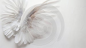 White Feathered Object Resting on White Surface