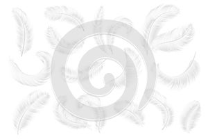 White feathers. Angel, goose or swan realistic feathers. 3d weightless falling plume isolated vector collection