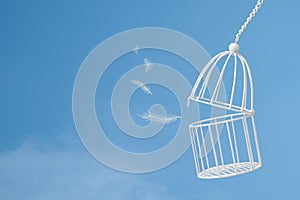 White feathers floating outside bird cage on blue sky with clou