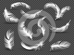 White feathers. Fluffy twirled feather isolated on transparent background. Realistic vector set
