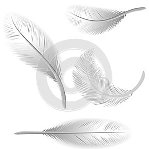 White Feathers Isolated