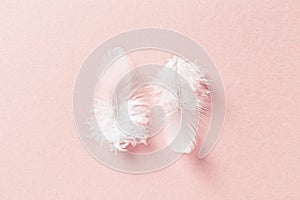 White feathers on pastel pink background