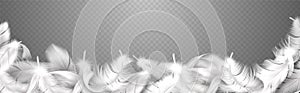 White feathers. Realistic frame with fluffy bird plume, falling softness goose or swan close up plumage, style smooth