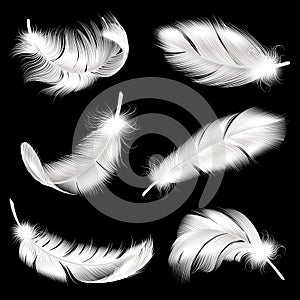 White feathers realistic set. Falling fluffy twirled bird plume in different angle, 3d flying angel or swan quill