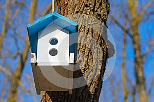 White feeding trough for birds with blue roof