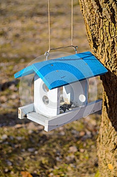 White feeding trough for birds with blue roof