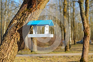 White feeding trough for birds with blue roof