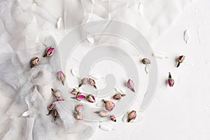 White feminine background with silk, white petals and dried rose