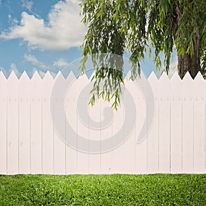 White fence