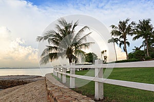 White fence, coconut tree and lawn on the beach