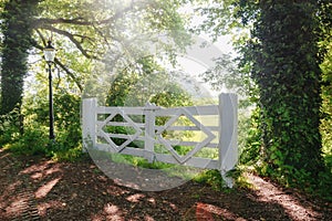 A white fence on the edge of a forest with the windmill De Vlinder behind it in a haze