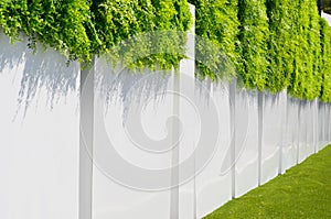 White fence with a green grass