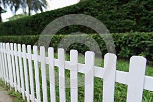 White fence and green grass in park