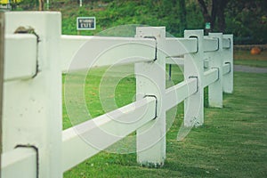 White fence at outdoor garden with green grass and tree background.