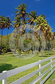 White fence of private garden residence on Bequia