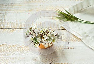 White field flowers in eggshell, napkin, green grass twig on wood surface in soft morning sunlight, Easter decoration