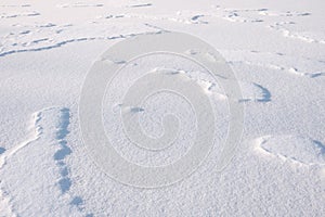 White fine ice and snow surface texture background texture, winter background.