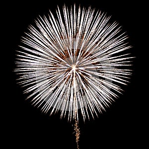 White Fireworks