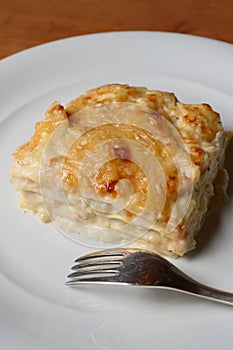 White Fish Lasagna or Lasagne di Pesce photo