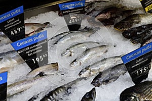 White fish. On the price tags in Russian, fresh fish are written. No logos and brands.