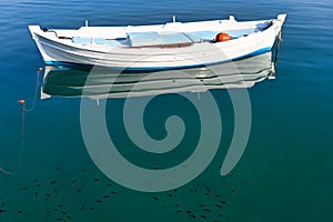 White fishing boat and small fishes in the sea Nafplio Greece photo