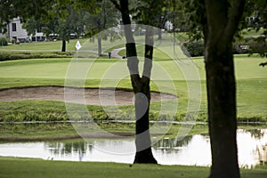 White Flag over Lush Golf Green through trees