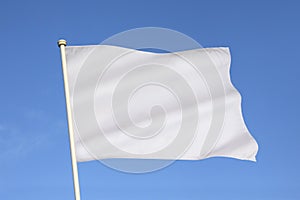 White Flag of Surrender - Business Metaphor