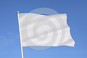 White Flag of Surrender - Business Metaphor photo