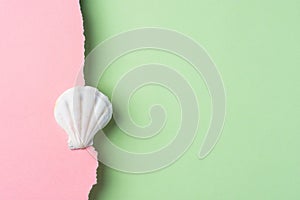 White flat round sea shell on duotone pink light green paper background with torn frazzle edge. Summer beach seaside vacation