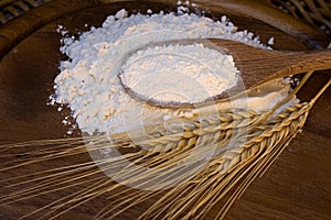 White flour with wheat ears