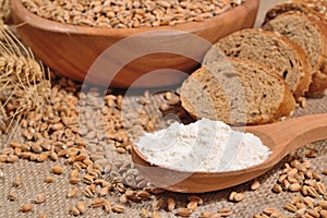 White flour in a wooden spoon, wheat and bread