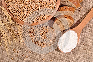 White flour in a wooden spoon, wheat and bread