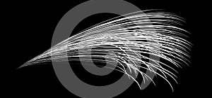 White flow brushstroke on white background.. Fluffy bunch of white politics. Abstract disheveled fibres. Vector illustration swirl