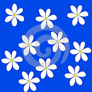 White flower background on blue background