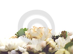 White flower is on white background