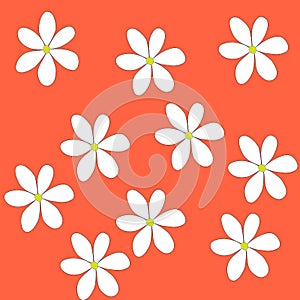 White flower background on red background