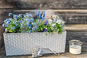 White flower box with blue forgetmenots, mini hyacinths and pansies on wooden background