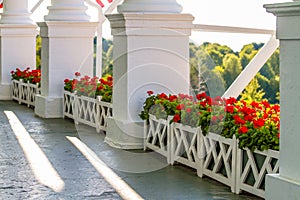 White Flower Box with Red Geranium Flowers