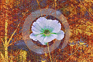 White flower on a brown mosaic background.