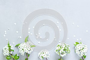 White flower corsages with green leaves on gray background