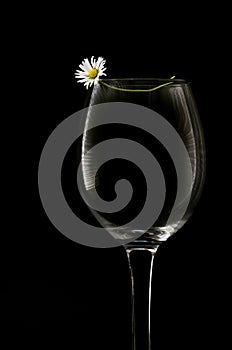 White flower and empty wine glass