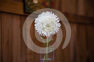 White flower in glass vase on the wooden background