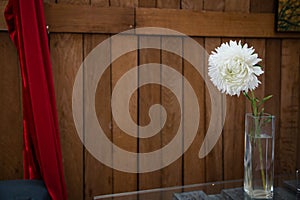 White flower in glass vase on the wooden background