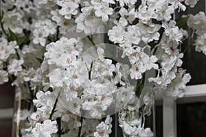 White flower Ikibana on a black background, bouquet in a glass vase, ebony, bouquet