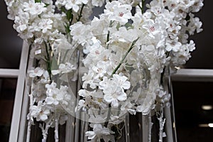 White flower Ikibana on a black background, bouquet in a glass vase, ebony, bouquet