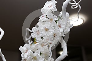 White flower Ikibana on a black background, bouquet in a glass vase, ebony, bouquet