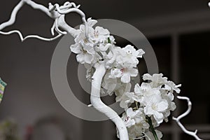 White flower Ikibana on a black background, bouquet in a glass vase, ebony, bouquet